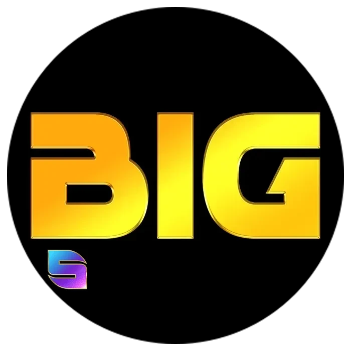 Logo bighoki